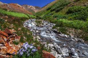 Creek along trail to Redcloud Peak-3719